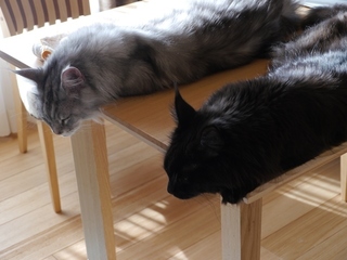 P1100237.JPG